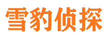 相山市私家侦探